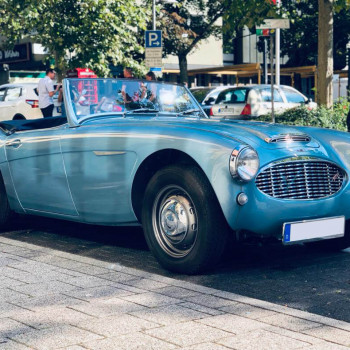 Projekt Austin Healey 100/6 BN4