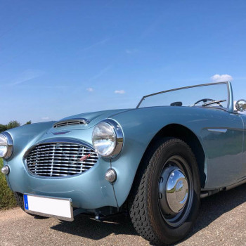 Projekt Austin Healey 100/6 BN4